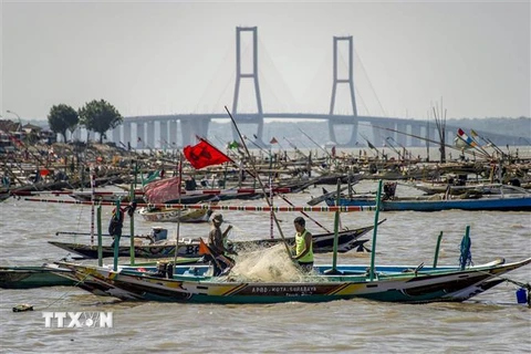 Ngư dân Indonesia đánh bắt cá tại vùng biển Surabaya, tỉnh Tây Java. (Ảnh: AFP/TTXVN)