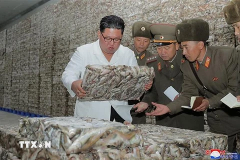 Nhà lãnh đạo Triều Tiên Kim Jong-un thăm nhà máy chế biến cá mới xây ở khu cảng tỉnh Tongchon, miền Đông nước này. (Ảnh: YONHAP/TTXVN)