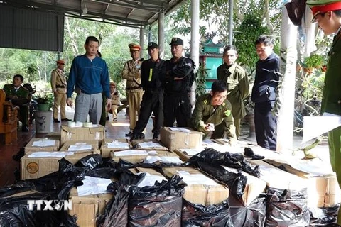 Lực lượng chức năng phát hiện, thu giữ gần 1 tấn pháo tại nhà riêng của đối tượng tên Nguyễn Đăng Mười. (Ảnh: Võ Dung/TTXVN)