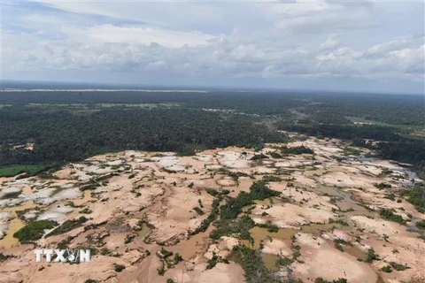 Khoảng rừng Amazon bị chặt phá. (Ảnh: AFP/TTXVN)