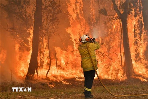 Lực lượng cứu hỏa nỗ lực dập lửa cháy rừng tại Central Coast, Australia. (Ảnh: AFP/TTXVN)