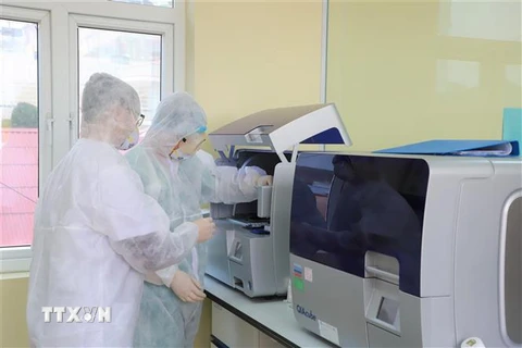 Nhân viên y tế xét nghiệm mẫu bệnh phẩm tại Trung tâm Kiểm soát bệnh tật (CDC) Quảng Ninh. (Ảnh: TTXVN phát)