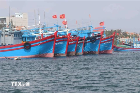Tàu cá Việt Nam neo đậu tại cảng. (Ảnh: Phạm Cường/TTXVN)