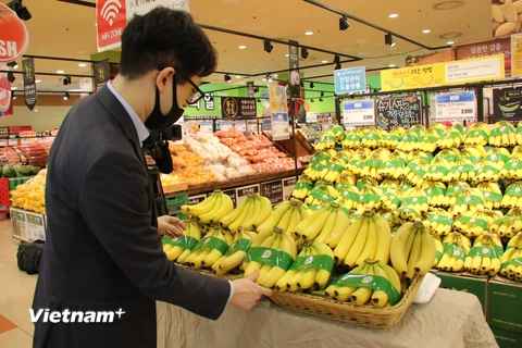 Chuối Việt Nam được bày bán tại siêu thị Lotte ở Hàn Quốc. (Ảnh: Mạnh Hùng/Vietnam+)