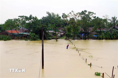 Nhiều địa phương tại huyện Thanh Chương bị cô lập do nước ngập, giao thông bị chia cắt. (Ảnh: Tá Chuyên/TTXVN)