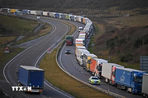 Xe tải xếp hàng trên tuyến Quốc lộ A20, tuyến đường chính dẫn tới cảng Dover, phía Nam Anh. (Ảnh: TTXVN phát)