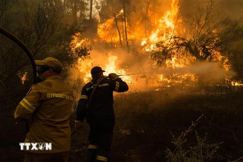 Lực lượng cứu hỏa nỗ lực dập lửa cháy rừng tại Evia, Hy Lạp. (Ảnh: THX/TTXVN)