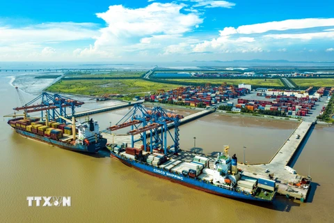 Hàng hóa xuất, nhập khẩu qua cảng Hải Phòng luôn sôi động. (Ảnh: An Đăng/TTXVN)