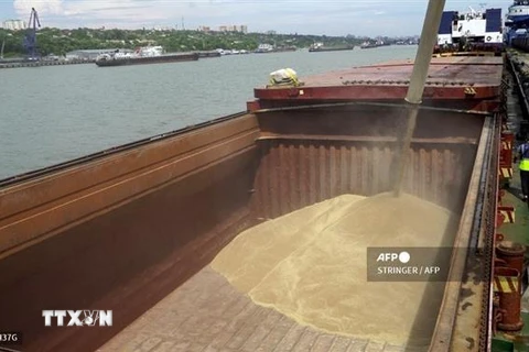 Lúa mỳ được chuyển lên tàu hàng ở cảng quốc tế Rostov-on-Don, ngày 26/7/2022. (Ảnh: AFP/TTXVN)
