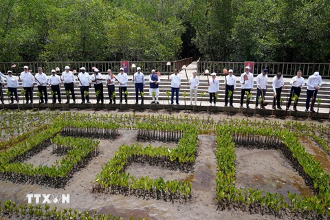 Các lãnh đạo tại lễ trồng cây lưu niệm bên lề Hội nghị thượng đỉnh G20 ở Bali, Indonesia. (Ảnh: AFP/TTXVN)