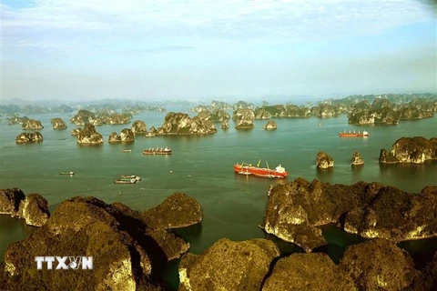 Vịnh Bái Tử Long với hàng nghìn hòn đảo lớn, nhỏ trong sắc xanh của biển, sắc vàng của nắng tạo nên khung cảnh "sơn thủy hữu tình" đầy kỳ thú. (Ảnh: Phạm Hậu/TTXVN)