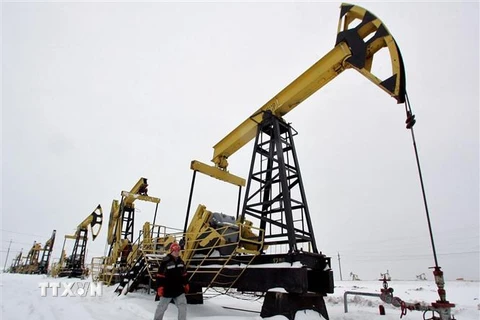 Công nhân kiểm tra các hoạt động bơm dầu tại giếng dầu Gremikhinskoye ở Izhevsk, vùng Ural, Nga. (Ảnh: REUTERS/TTXVN)