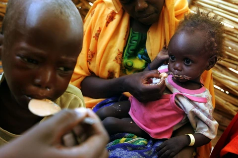 Trẻ em bị suy dinh dưỡng do thiếu lương thực điều trị tại một trung tâm y tế ở Darfur của Sudan. (Ảnh: AFP/TTXVN)
