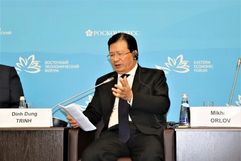 Phó Thủ tướng Trịnh Đình Dũng phát biểu tại hội thảo. (Ảnh Dương Trí/TTXVN)
