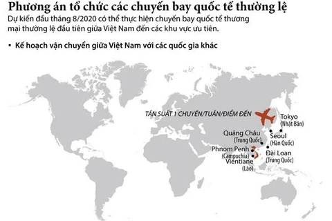 [Infographics] Phương thức tổ chức các chuyến bay thương mại quốc tế