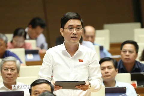 Ông Hoàng Quang Hàm, Ủy viên Thường trực Ủy ban Tài chính, Ngân sách của Quốc hội phát biểu tại phiên họp Quốc hội ngày 11/6 vừa qua. (Ảnh: Doãn Tần/TTXVN)