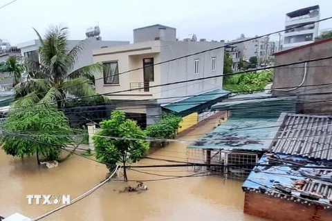 Nhiều khu dân cư của thành phố Hạ Long, Cẩm Phả bị ngập trong nước. (Ảnh: TTXVN phát) 