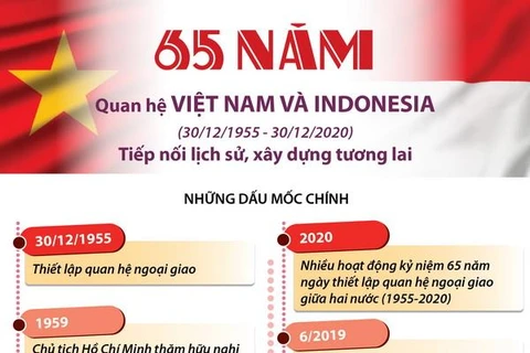 Quan hệ Việt Nam-Indonesia: Tiếp nối lịch sử, xây dựng tương lai