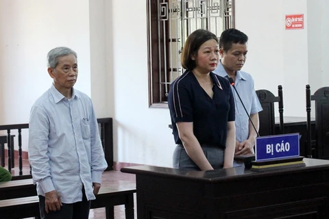 Lần thứ 3 hầu tòa, Nguyễn Thị Bình, nguyên cán bộ công tác tại Thanh tra tỉnh Hòa Bình lĩnh thêm 15 năm tù về tội "lừa đảo chiếm đoạt tài sản.” (Nguồn: baohoabinh.com.vn)