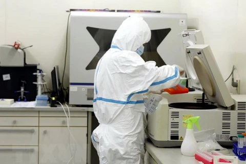 Xét nghiệm các mẫu bệnh phẩm nhiễm và nghi nhiễm COVID-19 tại labo. (Ảnh: Dương Ngọc/TTXVN)
