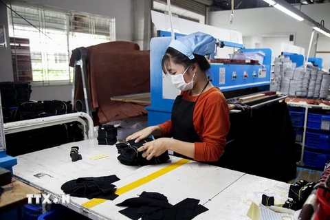 Công nhân làm giày da Công ty CP Thái Bình Kiên Giang, Khu công nghiệp Thạnh Lộc, tỉnh Kiên Giang. (Ảnh: Hồng Đạt/TTXVN)