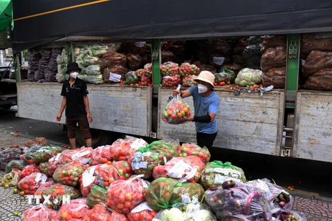 Mỗi ngày tỉnh Lâm Đồng sẽ chuyển cho Thành phố Hồ Chí Minh 200 tấn rau, củ, quả để hỗ trợ lực lượng tuyến đầu và người dân trong đợt dịch. (Ảnh: Xuân Khu/TTXVN)