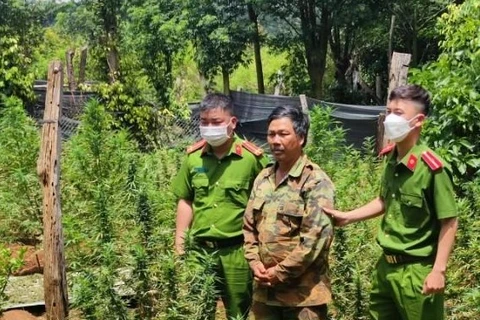 Đối tượng Nguyễn Thanh Duy bị bắt giữ. (Nguồn: nld.com.vn)