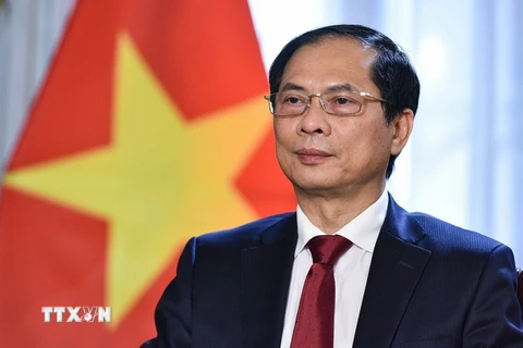 Bộ trưởng Bộ Ngoại giao Bùi Thanh Sơn. (Ảnh: TTXVN/phát)