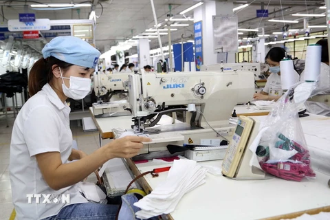 Công nhân làm việc trong xưởng may hàng xuất khẩu tại Garco 10, Tổng Công ty May 10. (Ảnh: Trần Việt/TTXVN)