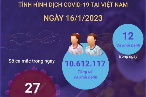 [Infographics] Cập nhật tình hình dịch COVID-19 ở Việt Nam ngày 16/1