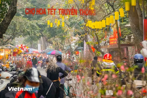 [Photo] Chợ hoa cổ nhất Hà Nội rực rỡ sắc màu những ngày cận Tết 