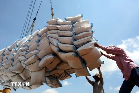 Bộ Công Thương kiến nghị xuất khẩu 400.000 tấn gạo trong tháng Tư. (Ảnh: TTXVN)