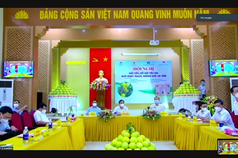 Hội nghị kết nối đưa Bưởi Phúc Trạch Hương Khê lên sàn thương mại điện tử. (Ảnh: PV/Vietnam+)