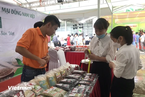 Sở Công Thương Hà Nội kết nối nông sản thực phẩm an toàn cho các chợ trên địa bàn thành phố. (Ảnh: PV/Vietnam+)