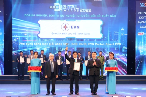 Phó Tổng Giám đốc Võ Quang Lâm đại diện cho EVN nhận giải thưởng tại buổi lễ. (Ảnh: PV/Vietnam+)