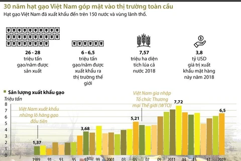 [Infographics] 30 năm hạt gạo Việt Nam góp mặt vào thị trường toàn cầu