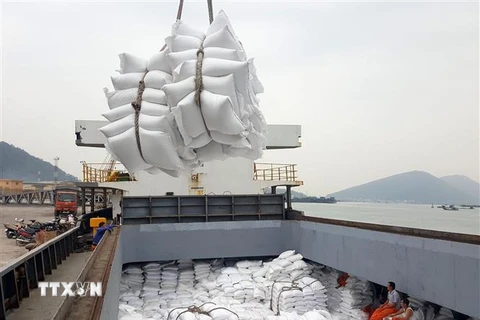 Bốc xếp gạo xuất khẩu tại cảng Cửa Lò (Nghệ An). (Ảnh: Danh Lam/TTXVN) 