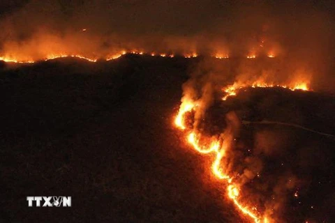 Các đám cháy tại rừng mưa Amazon ở Tocantins, Brazil, ngày 17/8/2019. (Nguồn: THX/TTXVN) 