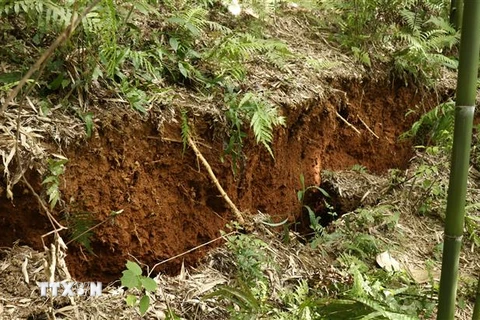 Hiện trường một vụ sạt lở đất ở Lào Cai. Ảnh: Quốc Khánh - TTXVN 