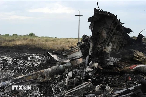Hiện trường vụ rơi máy bay MH17 của hãng hàng không Malaysia Airlines ở gần thị trấn Shaktarsk, Ukraine, ngày 18/7/2014. (Nguồn: AFP/TTXVN) 