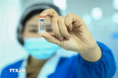 Vắcxin phòng COVID-19 do hãng Sinovac Biotech của Trung Quốc sản xuất. (Nguồn: THX/TTXVN) 