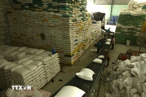 Chuẩn bị nguồn hàng gạo xuất khẩu tại Công ty Lương thực sông Hậu (Tổng công ty Lương thực miền Nam). (Nguồn: TTXVN) 