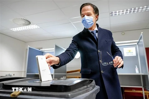 Thủ tướng Hà Lan Mark Rutte bỏ phiếu trong cuộc tổng tuyển cử tại điểm bầu cử ở La Hay, ngày 17/3/2021. (Nguồn: AFP/TTXVN) 