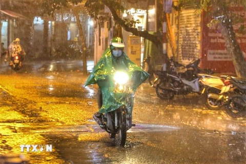 Cơn mưa tối 22/6 đã giải nhiệt cho Thủ đô Hà Nội. (Ảnh: Tuấn Đức/TTXVN) 