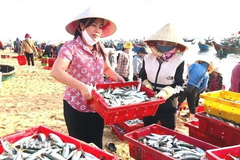 Người Quảng Bình góp cá gửi nhân dân vùng dịch Thành phố Hồ Chí Minh