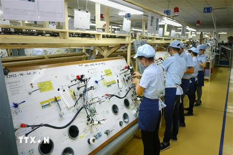 Sản xuất linh kiện điện tử tại Công ty TNHH Điện-Điện tử Mê Trần Vĩnh Phúc. (Ảnh: Danh Lam/TTXVN) 