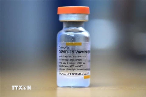 Vaccine ngừa COVID-19 của Sinovac. (Nguồn: AFP/TTXVN) 