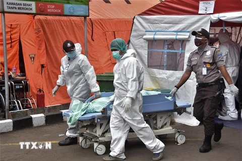 Chuyển thi thể bệnh nhân COVID-19 tại một bệnh viện ở Bekasi, Indonesia. (Nguồn: AFP/TTXVN) 