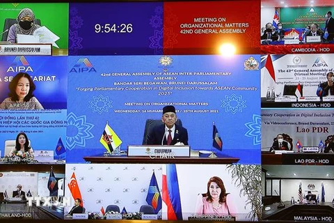 Phiên họp của Ủy ban Tổ chức Đại hội đồng AIPA-42 diễn ra dưới hình thức trực tuyến. (Ảnh: Nguyễn Điệp/TTXVN) 