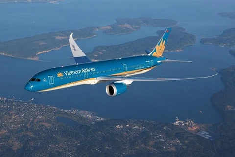 Máy bay của hãng hàng không Vietnam Airlines. (Ảnh: CTV/Vietnam+) 